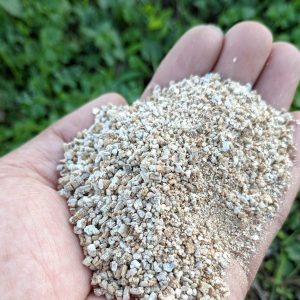 VERMICULITA 5DM3